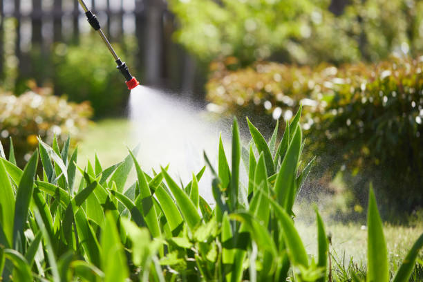 24/7 Emergency Mosquito Control experts in Ridge, NY